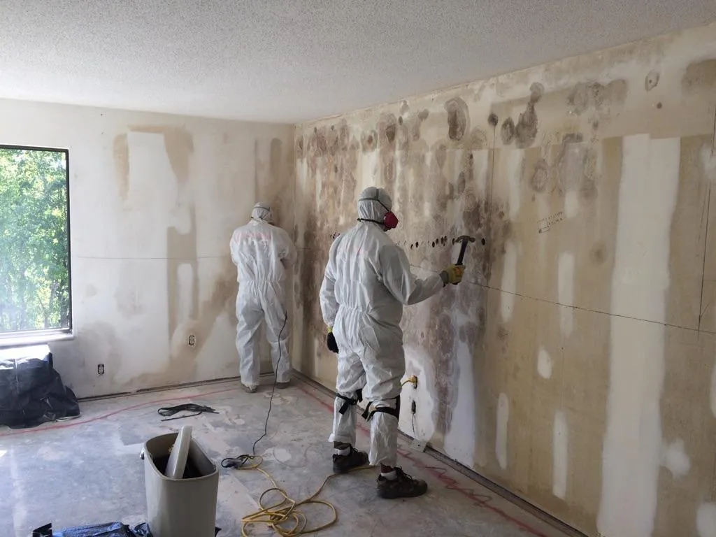Technicians in protective equipment removing mold-damaged wall material